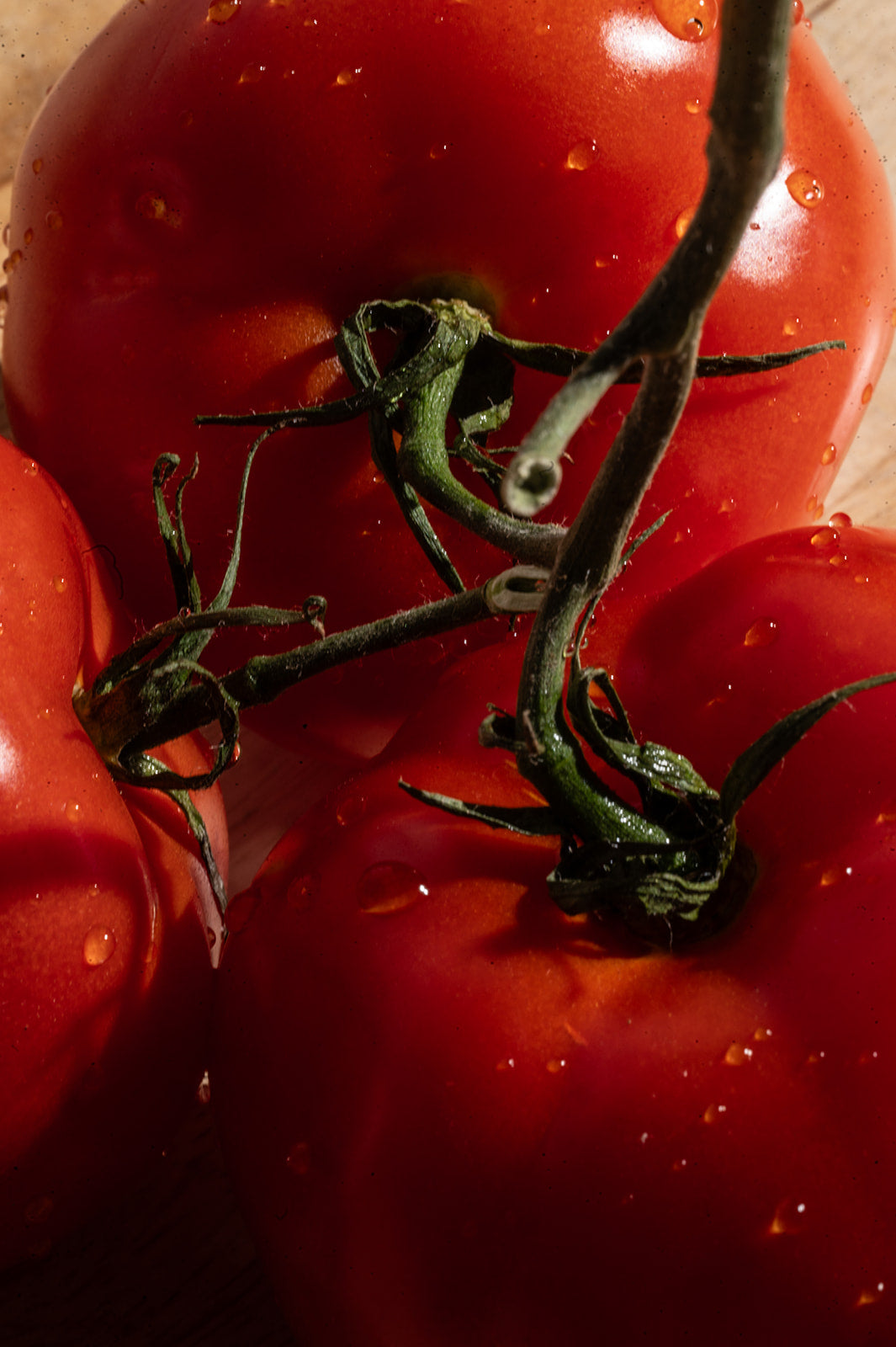 Heirloom Tomatoes, Rose and Ravine