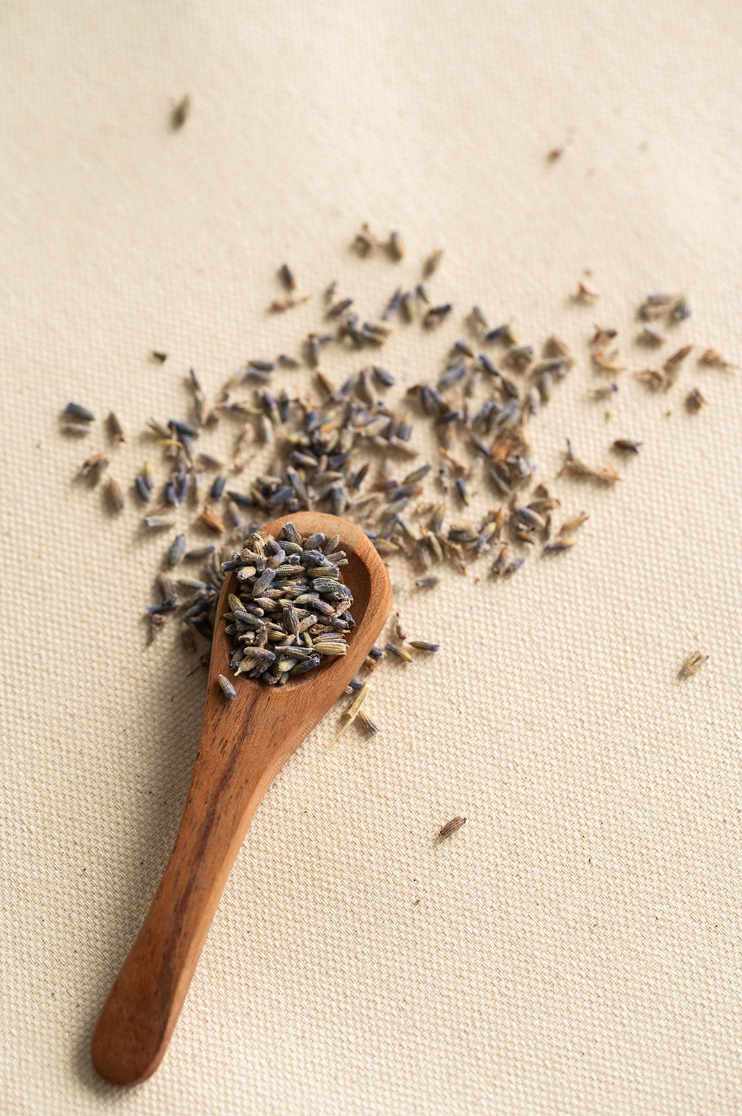 Dried Lavender, Rose and Ravine